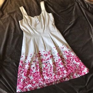 White House Black Market